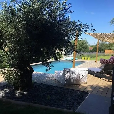 Elegante Maison A : Piscine Chauffee, Jardin Arbore, Terrasse Et Climatisation - Fr-1-489-494 Дом отдыха *